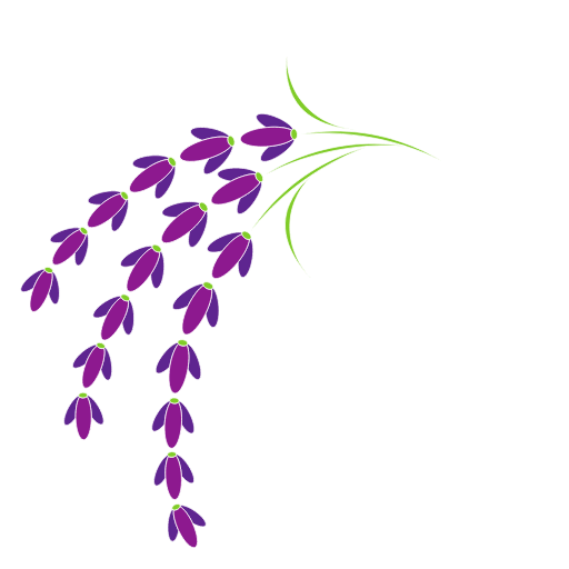 lavender 2 - wyldflower