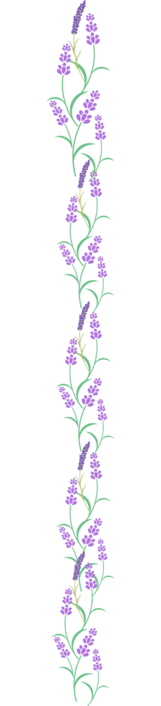 lavender - wyldflower